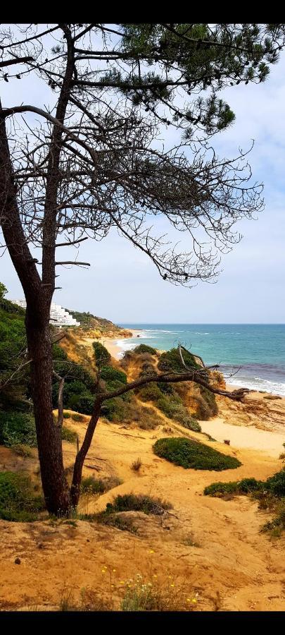 Apartamento Albufeirasun, Arrive As A Guest Leave As A Friend. Exterior foto